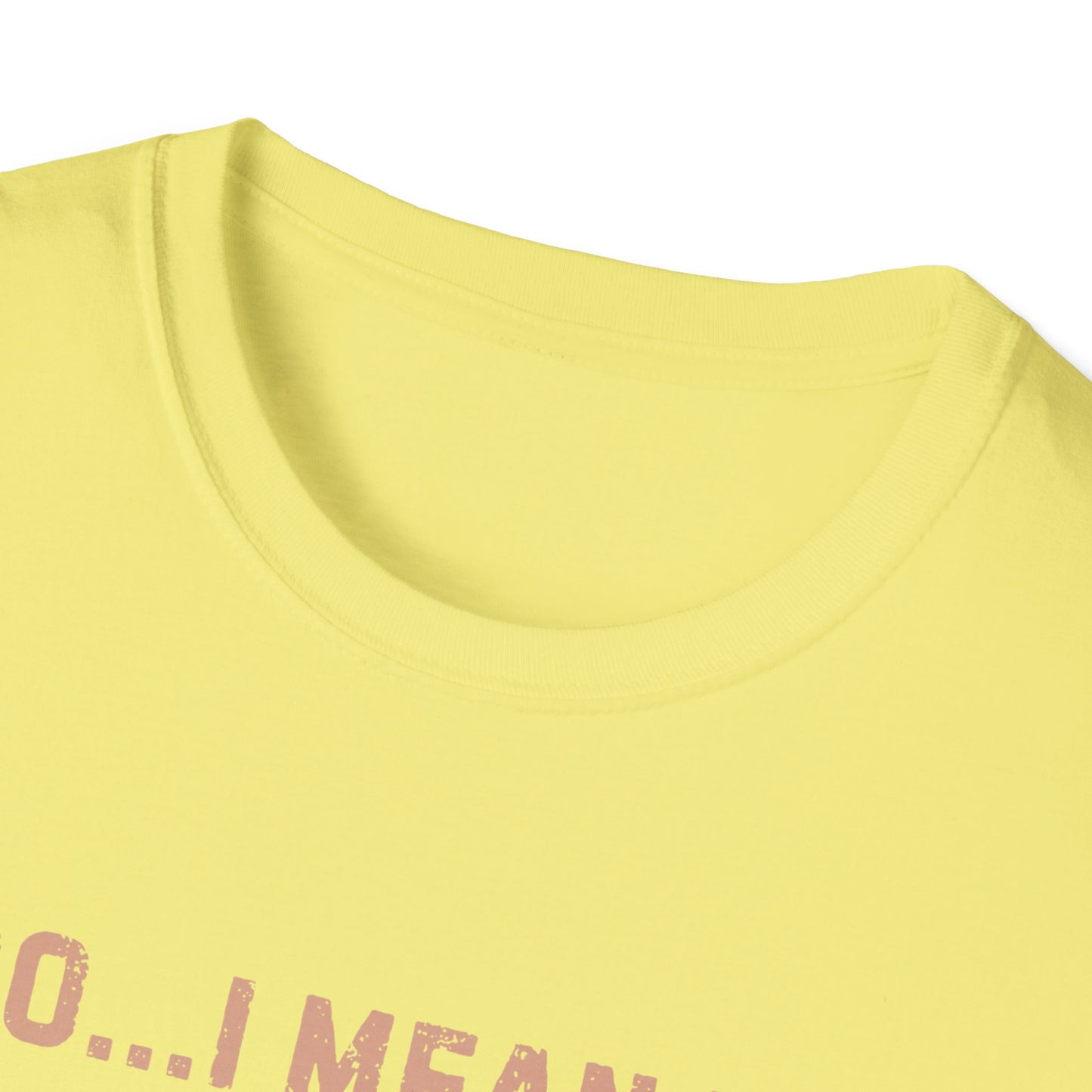 Halloween Highland Cow MOO I MEAN BOO T-Shirt, Cute patchwork ghost highland cow. Fall, Western, Halloween T-Shirt.